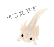 843118393