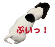 843118479