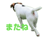 843118480