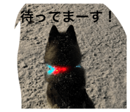843118782