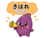 843118812