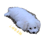 843118884