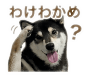 843119625