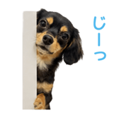 843119688