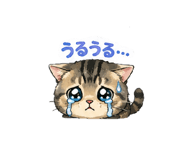 843120023