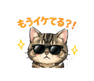 843120024