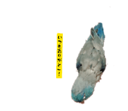 843120097