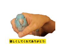 843120100
