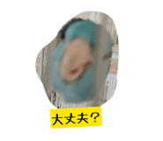 843120101