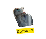 843120102