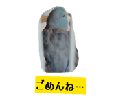 843120103