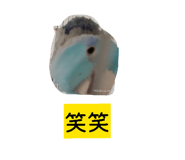 843120104