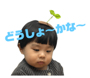 843120185