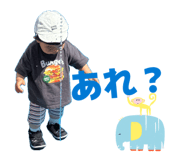 843120208