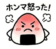843120216