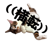 843120297