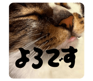 843120302