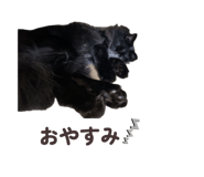 843120327