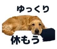 843120632