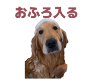 843120642