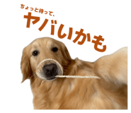 843120645