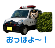 843120722