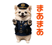 843120723
