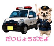 843120728