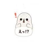 843120905