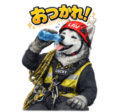 843122527