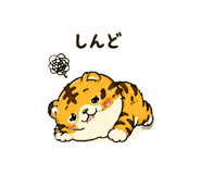 843122699