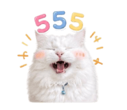 843122794