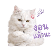 843122799
