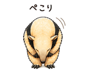 843123006