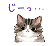 843123523