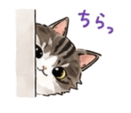 843123531