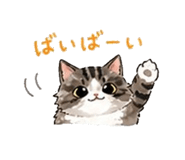 843123535