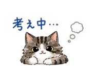 843123537