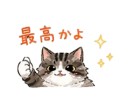 843123538