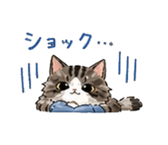 843123540