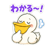 843123996