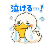 843124015