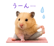 843124739