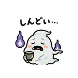 843125013