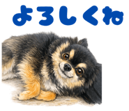 843125820
