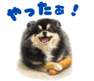 843125823