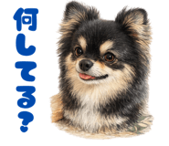 843125830