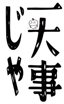 843126554