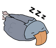 843127480