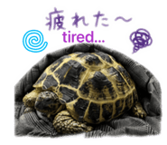 843128031